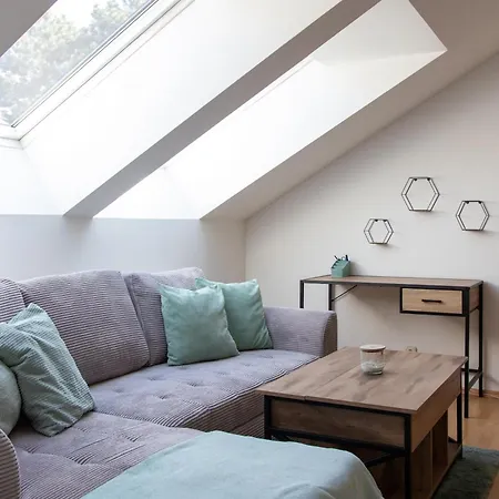 Apartment Schoene Mit Parkplatz Im Zentrum Von Linz