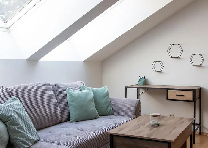 Apartment Schoene Mit Parkplatz Im Zentrum Von Linz