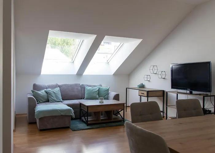 Apartment Schoene Mit Parkplatz Im Zentrum Von Linz