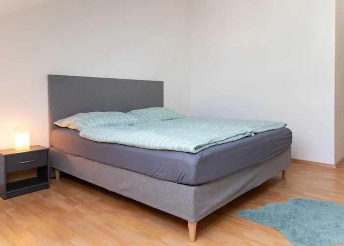 Schoene Mit Parkplatz Im Zentrum Von Apartment Linz