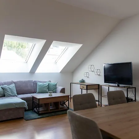 Schoene Mit Parkplatz Im Zentrum Von Appartement Linz